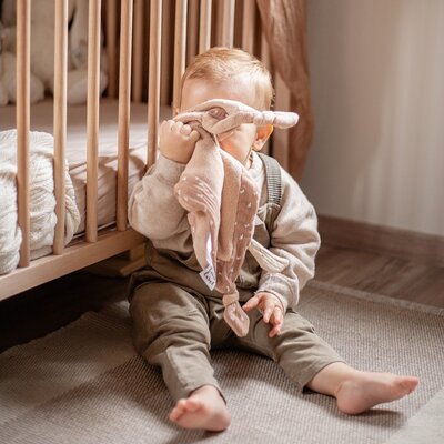 Knuffeldoek Brown Dragonfly