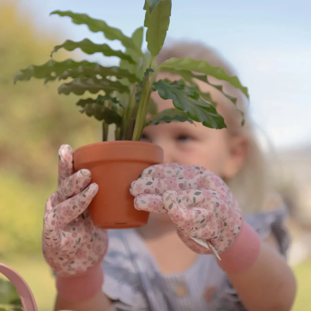 Tuin cadeau set 10-delig FSC Fairy Garden Tuin cadeau set 10-delig FSC Fairy Garden