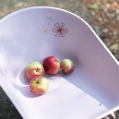 Kruiwagen Fairy Garden