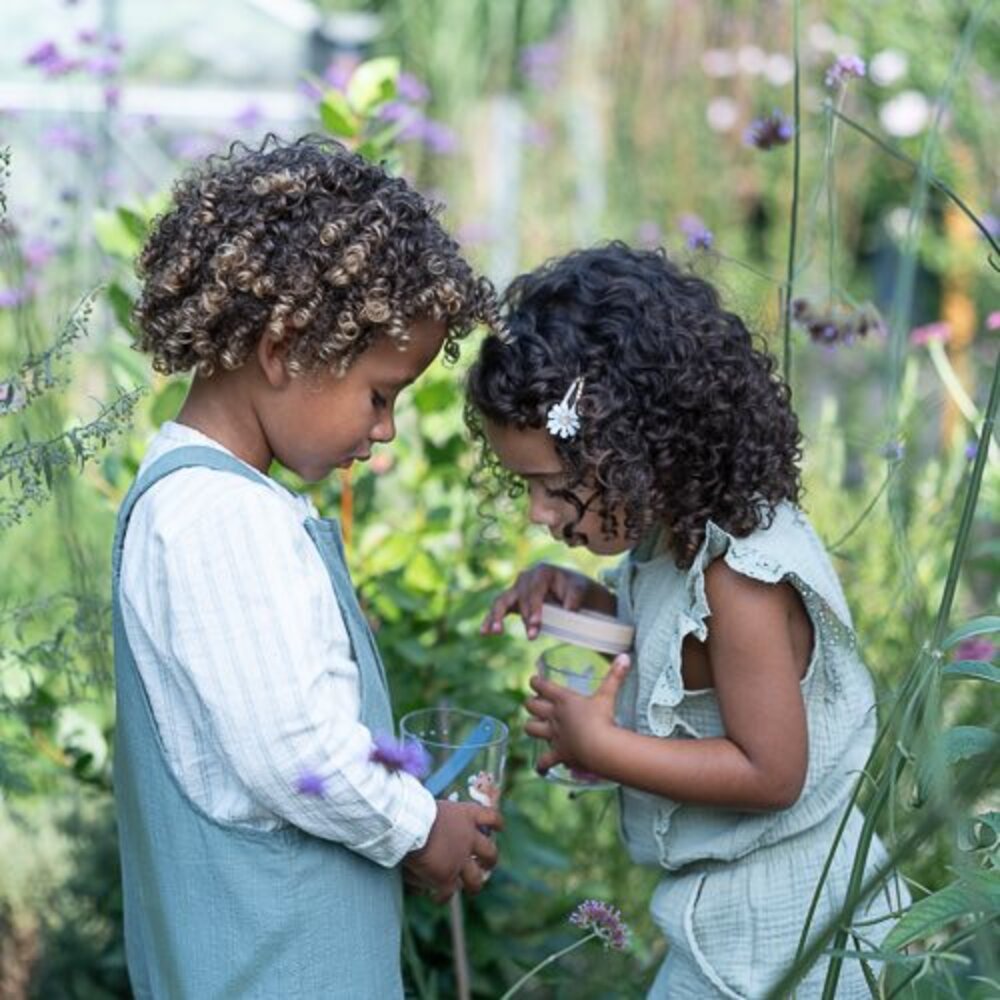 Insectenpotje FSC Fairy Garden