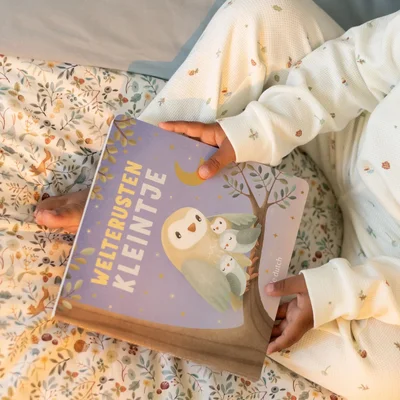 Little Dutch welterusten kleintje - boek