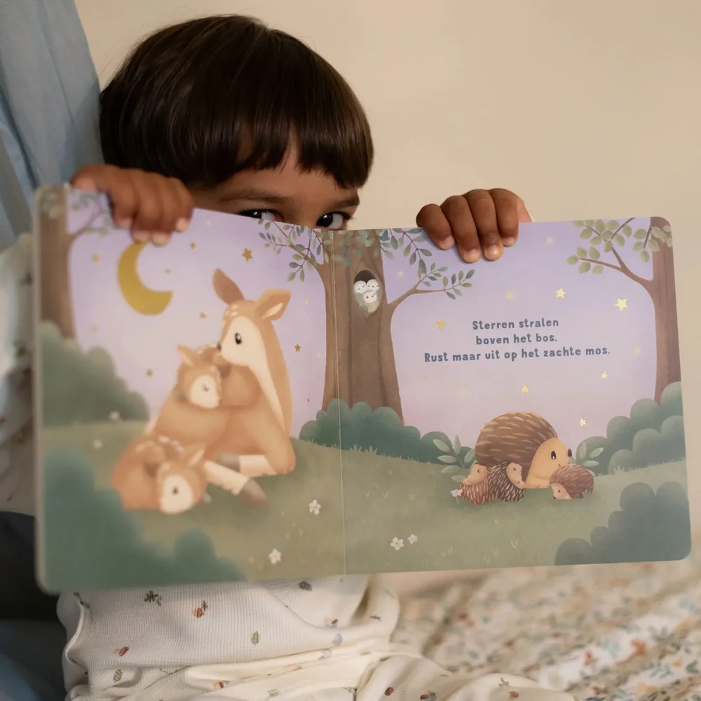 Little Dutch welterusten kleintje - boek