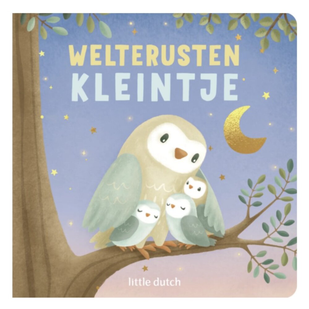 Little Dutch welterusten kleintje - boek