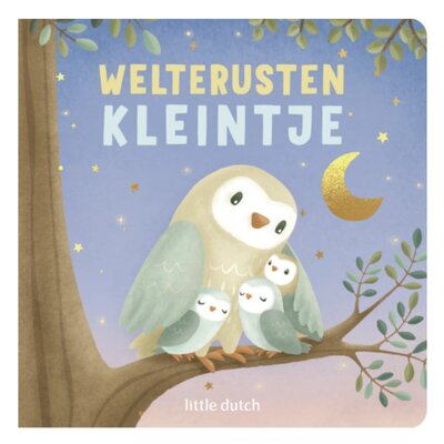 Little Dutch welterusten kleintje - boek