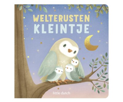 Little Dutch welterusten kleintje - boek