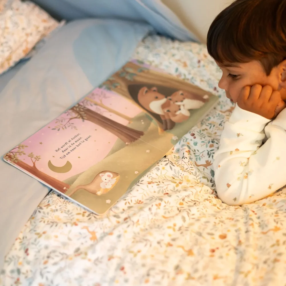 Little Dutch welterusten kleintje - boek