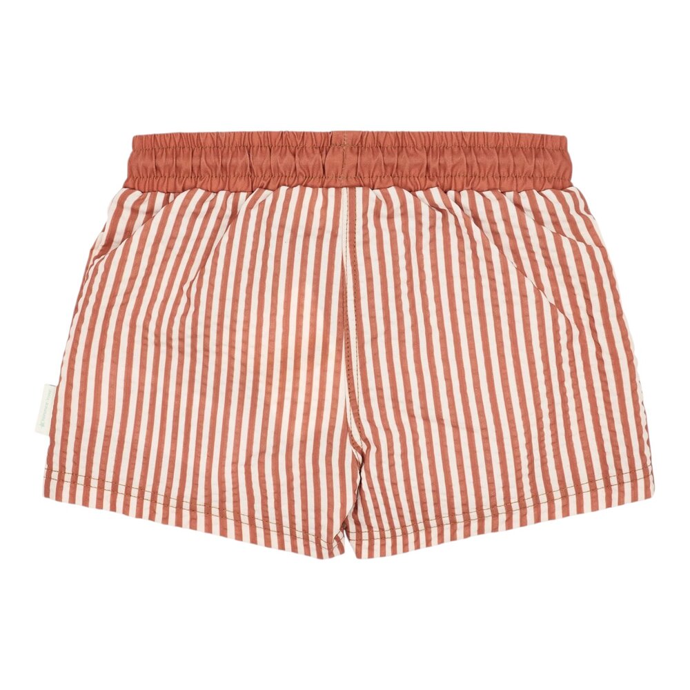 Zwemshort Ocean Brown Stripes