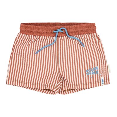 Zwemshort Ocean Brown Stripes