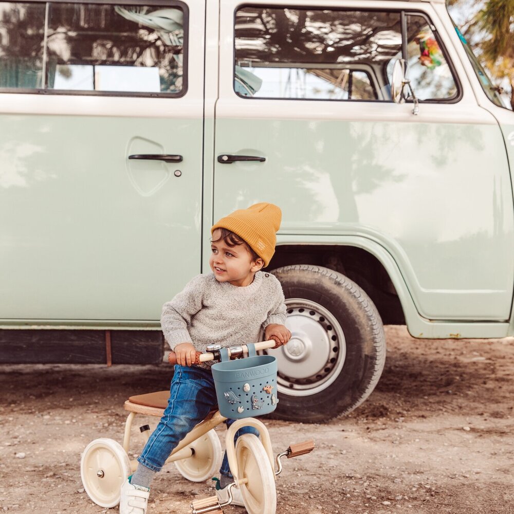 Pin & Ride fietsmandje Teal