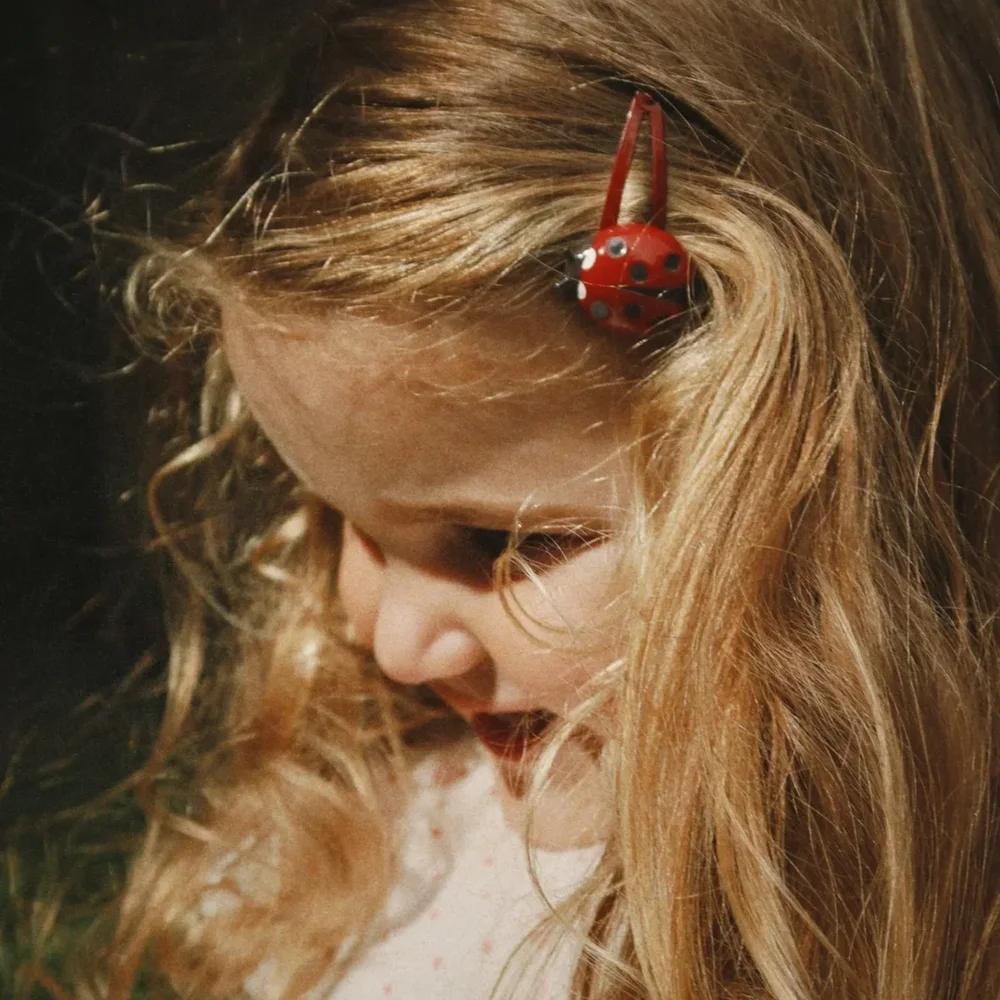 Ladybug 4 Pack haarclips Ladybug Ladybug 4 Pack haarclips Ladybug