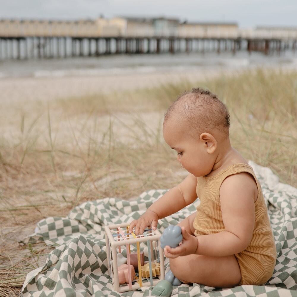 Elastic shape sorter Elastic shape sorter