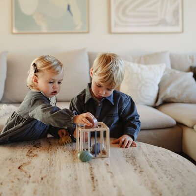 Elastic shape sorter Elastic shape sorter