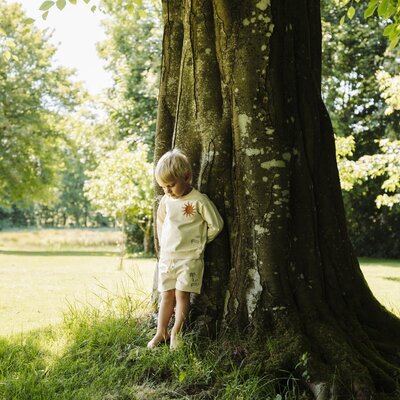 Trui Sejer Palms Sandshell