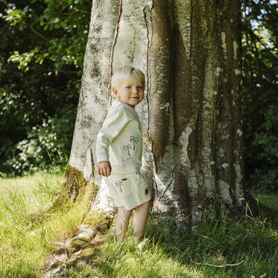 Short Haggi Palms Sandshell