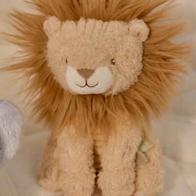 Giftset GRS Safari Friends