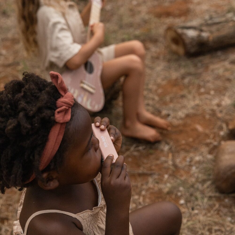 Muziekset - FSC Safari Friends