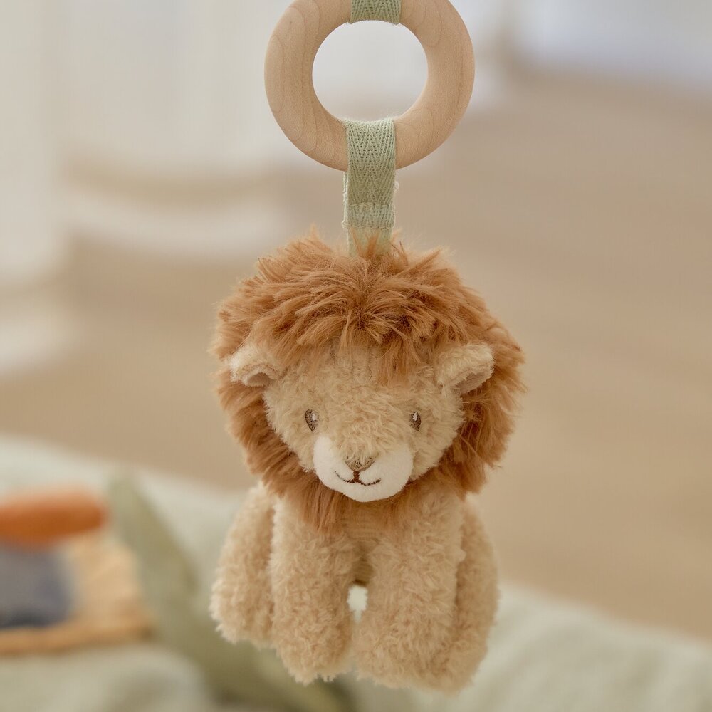 Babygym Safari Friends