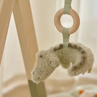 Babygym Safari Friends