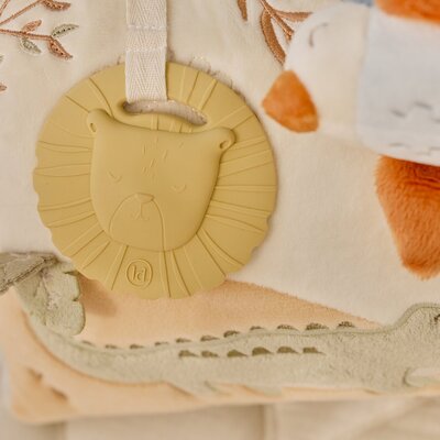 Activiteiten driehoek GRS Safari Friends