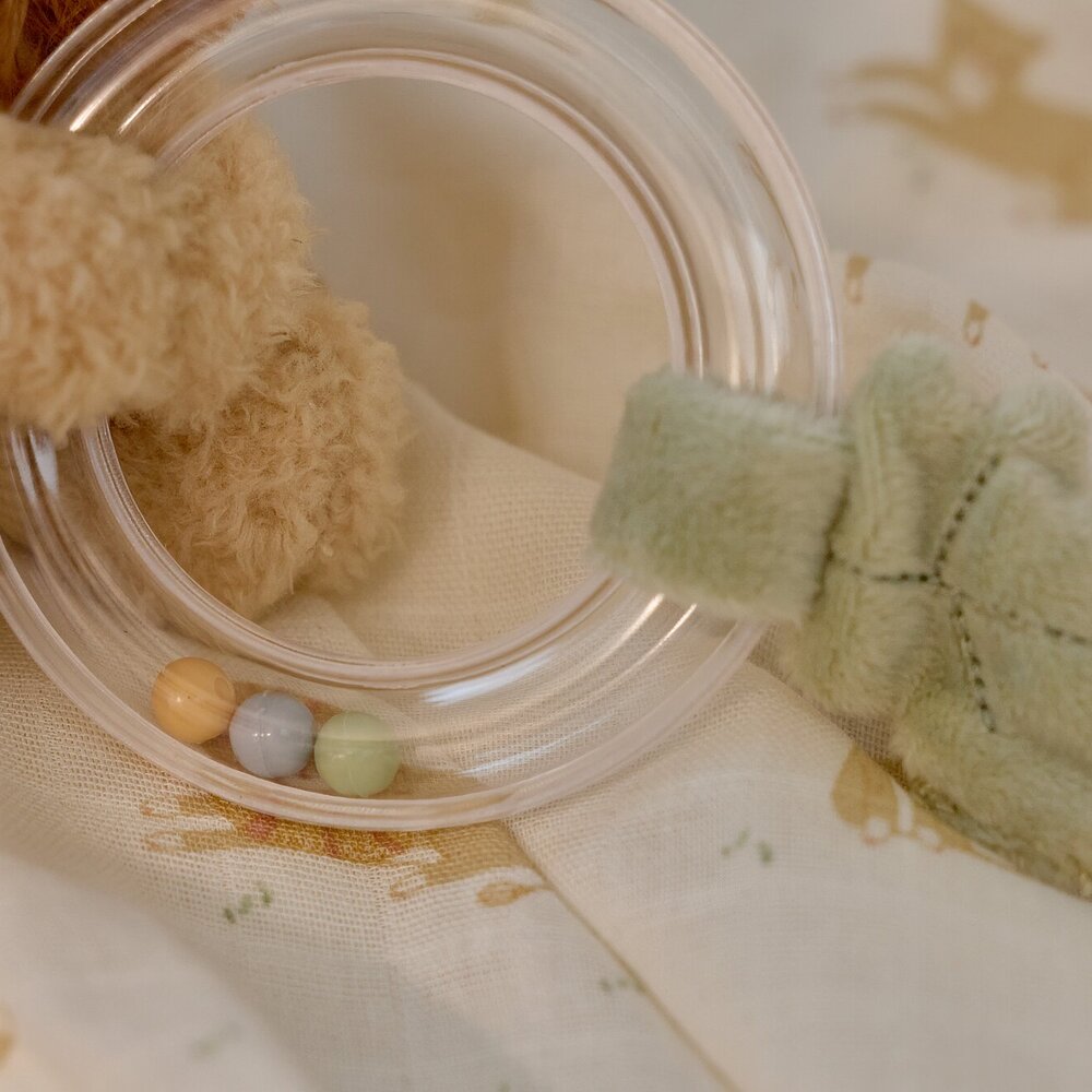 Ringrammelaar Leeuw GRS Safari Friends