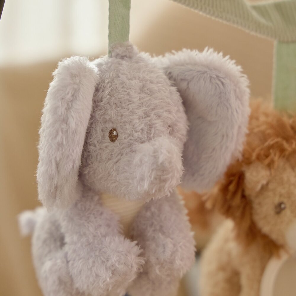 Wagenspanner GRS Safari Friends