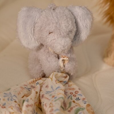 Giftset GRS Safari Friends