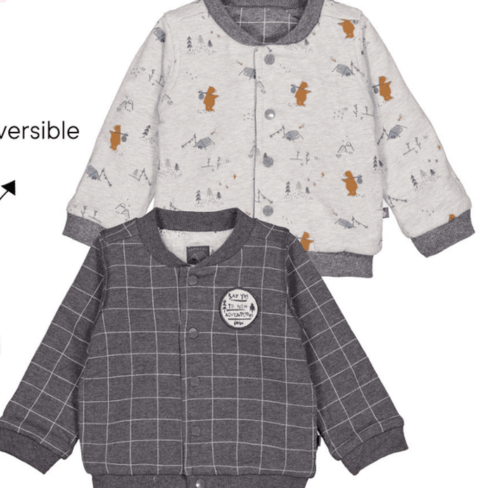 Omkeerbaar vestje gridly bear anthracite