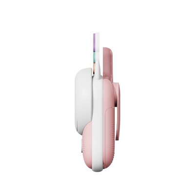 Walkie talkie unicorn - fox