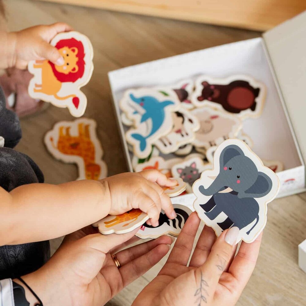 Magnetisch speelset meet the animals, 20 stuks