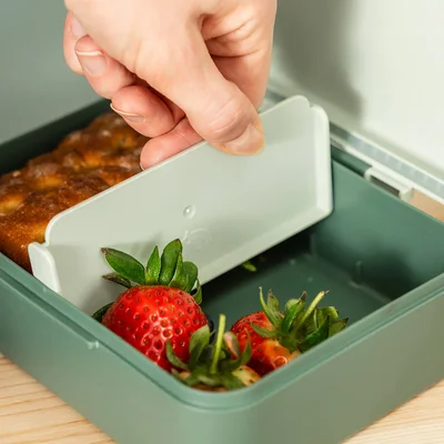 Lunch box w/divider Tiny trails Green
