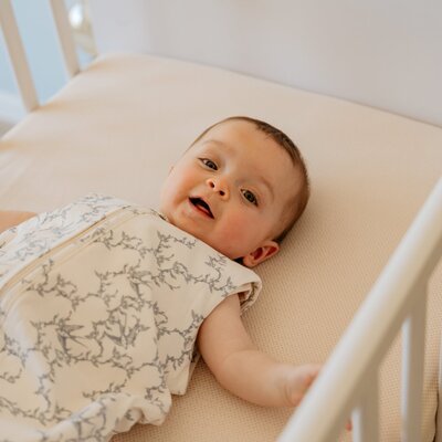 The bag newborn < 6 m - 70 cm - cotton Swallows