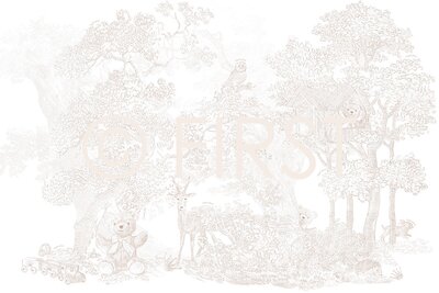 xxl wallpaper my first friends PANORAMA SILENT SAN Beige