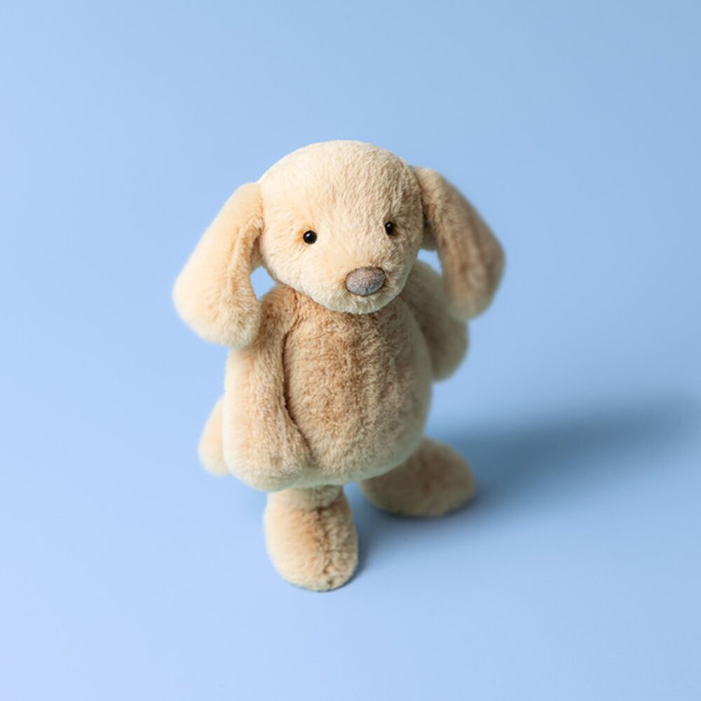 Bashful Luxe Puppy Orlando Original Bashful Luxe Puppy Orlando Original