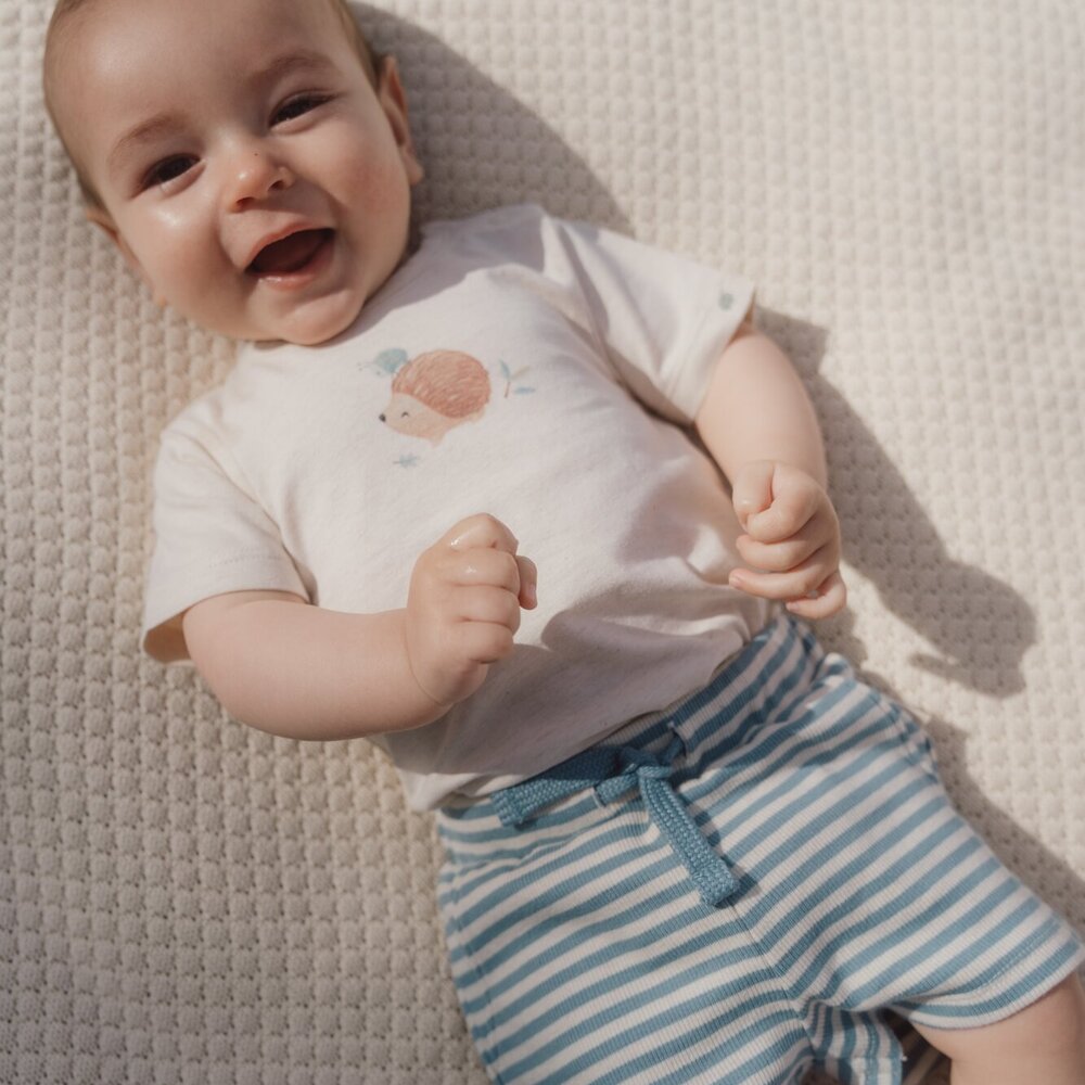 Korte broek blauw Stone Blue stripe Korte broek blauw Stone Blue stripe
