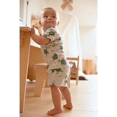 Timmy Turtle - Premium Summerwear by Feetje Mint Timmy Turtle - Premium Summerwear by Feetje Mint