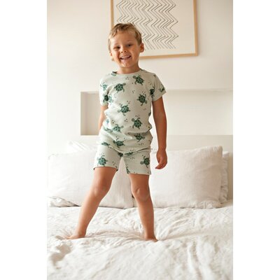 Timmy Turtle - Premium Summerwear by Feetje Mint Timmy Turtle - Premium Summerwear by Feetje Mint