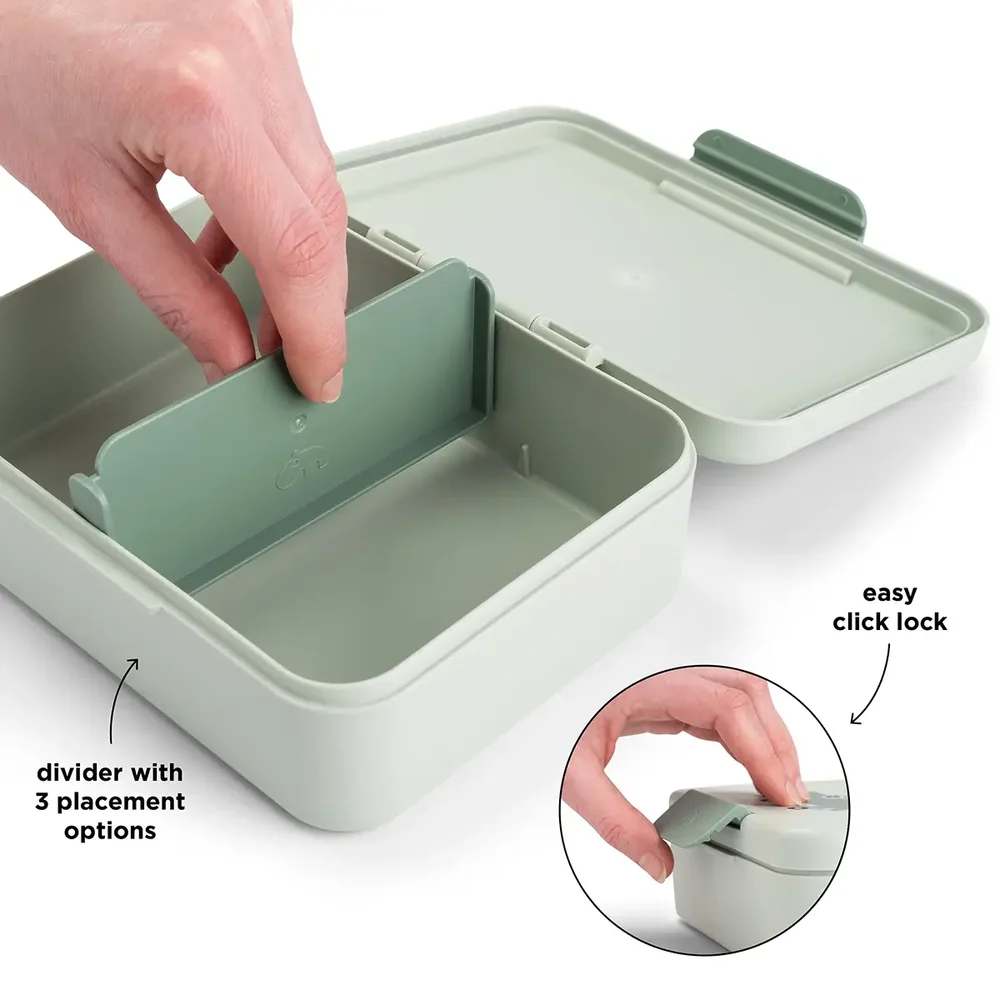 Lunch box w/divider Playground Gree Lunch box w/divider Playground Gree