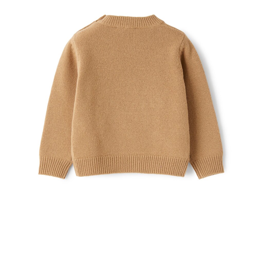 Trui Tricot met ijsbeer Bruin