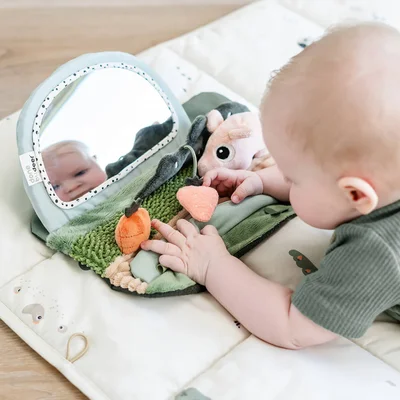 Tummy time sensory mirror Tiny farm Colou Tummy time sensory mirror Tiny farm Colou