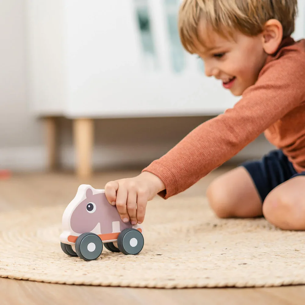 Push toy Ozzo Powder
