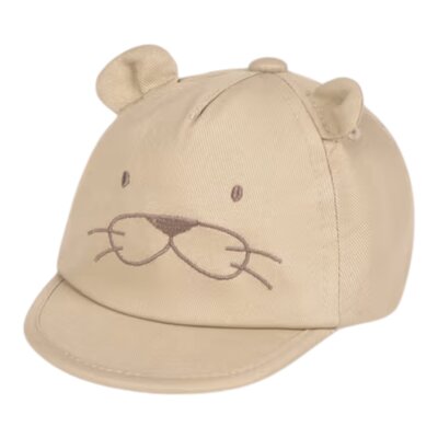 Pet bruin leeuw Pet bruin leeuw