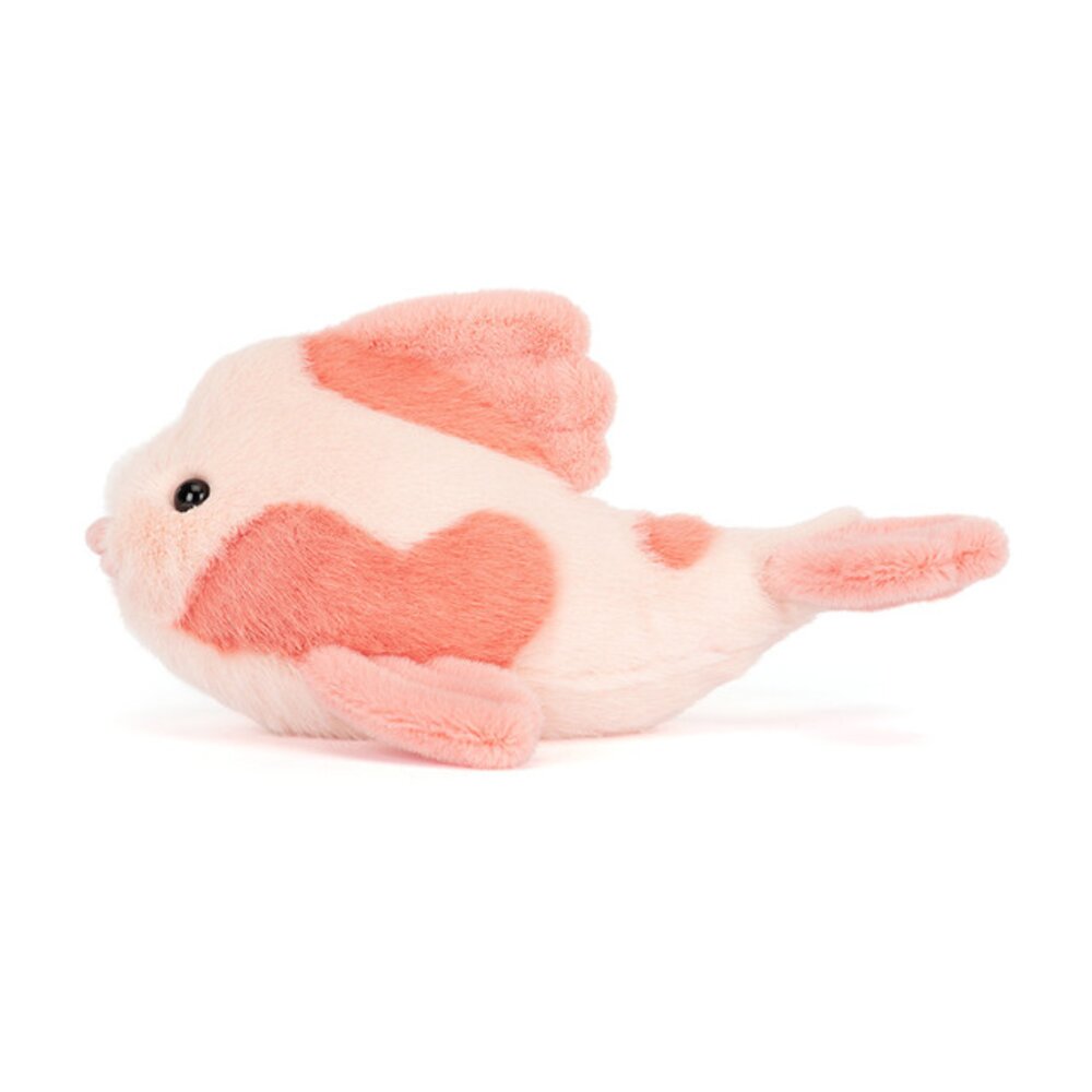 Koi Carp