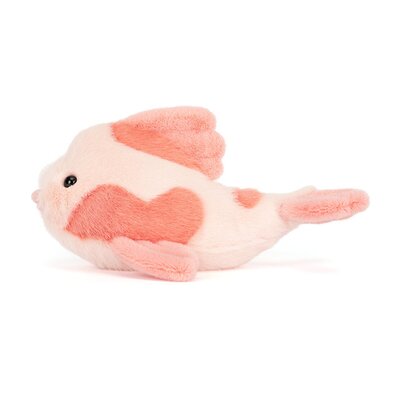 Koi Carp