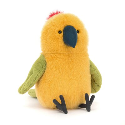 Budgeby Parrot Budgeby Parrot