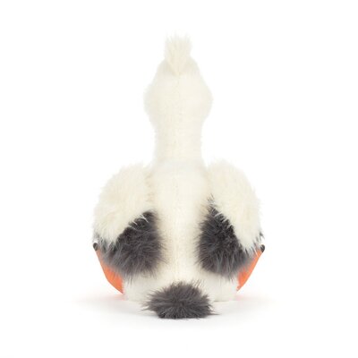 Pelican