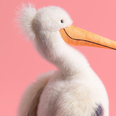 Pelican