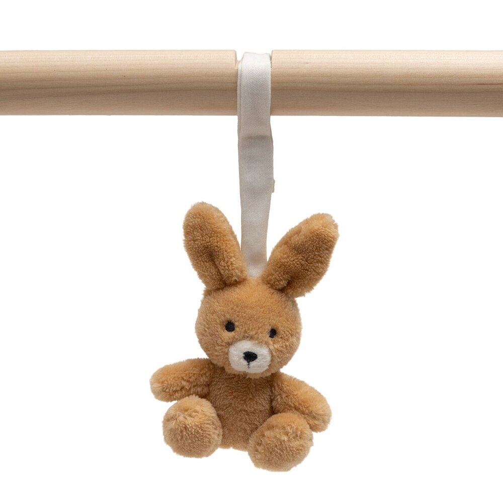 Babygym speeltjes Jollies