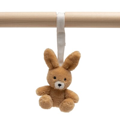 Babygym speeltjes Jollies