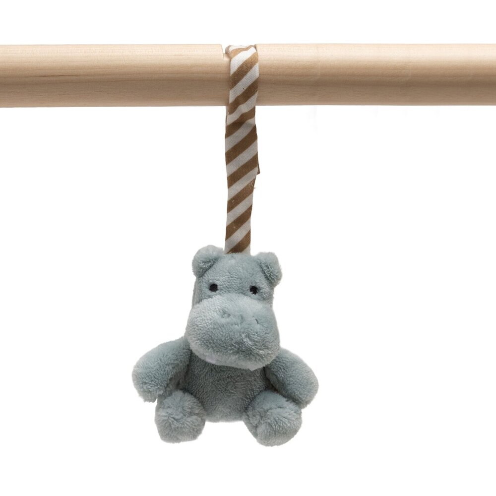 Babygym speeltjes Jollies