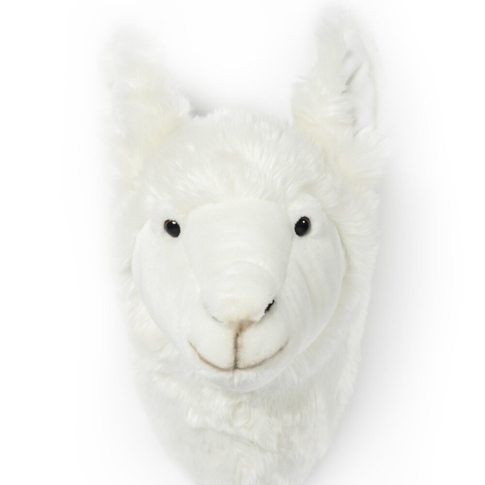 Dierenkop muurdecoratie Llama Lily